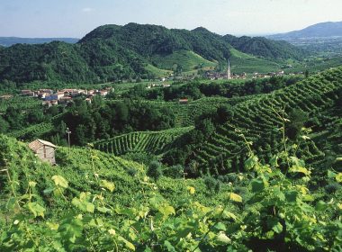 Prosecco_Valley